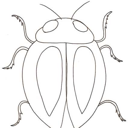 Disegno di scarabeo da colorare