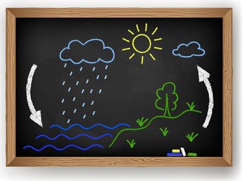 Vector schematic representation of the water cycle