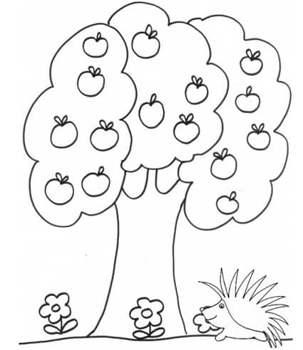 Disegno da colorare albero di mele