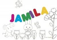 Jamila: significato e onomastico
