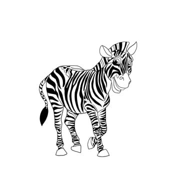 Zebra isolated on white background. Cartoon black and white  illustration.