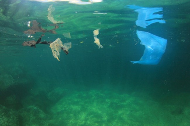 Plastic bags trash rubbish garbage pollution in ocean
