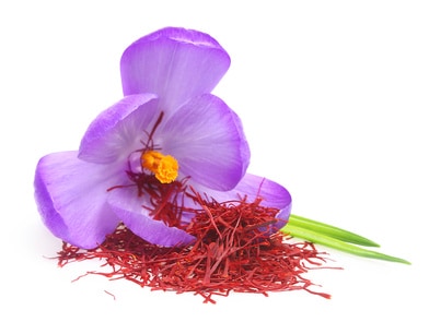 Flower crocus and dried saffron spice