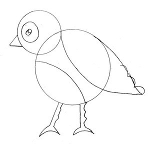disegnare-uccello_4 sm