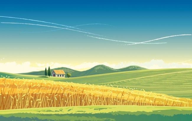 Rural landscape with wheat field and house on the hill.
