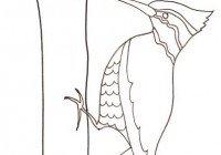 Disegni Di Uccelli Da Colorare Immagini Di Uccelli Da Stampare