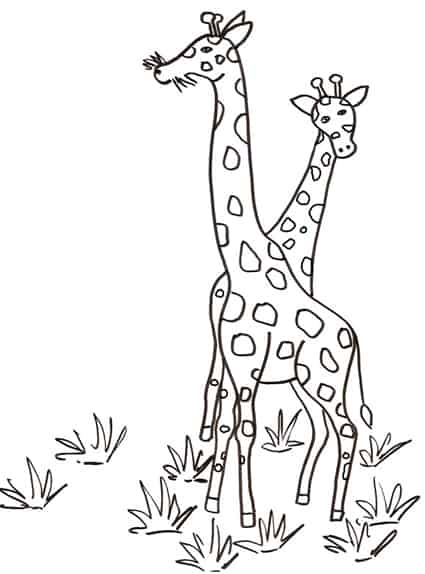 Giraffe Da Colorare Cose Per Crescere