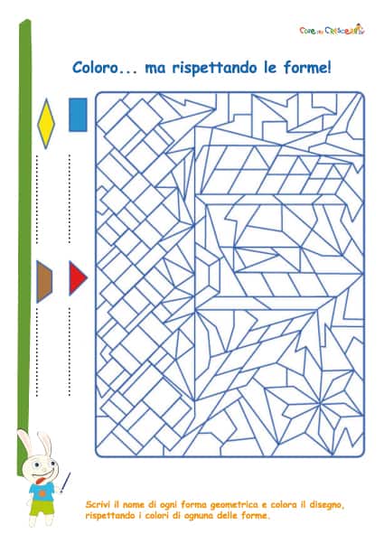 Coloro E Riconosco Le Forme Cose Per Crescere