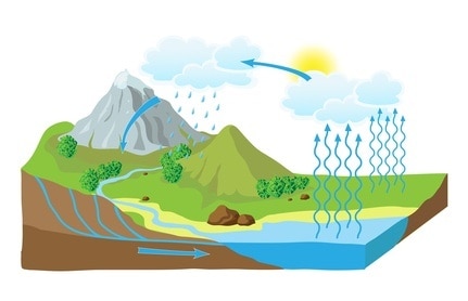 Fasi Del Ciclo Dell Acqua Ciclo Idrologico Scuola Primaria