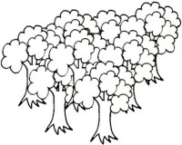 Disegni Di Alberi Da Colorare Disegni Per Bambini Da Stampare Gratis