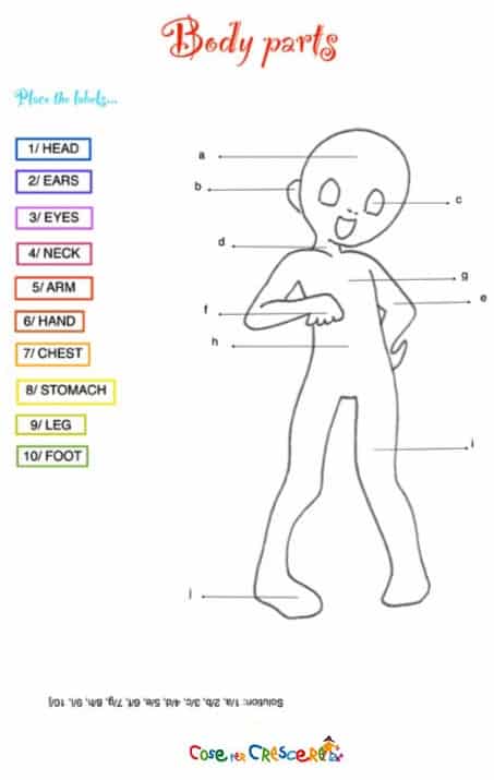 Le Parti Del Corpo In Inglese Esercizi Inglese Bambini Primaria