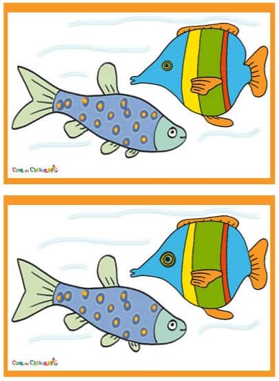 diferenze-pesci