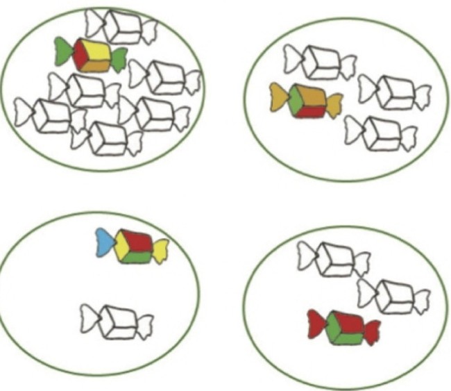Piccolo e grande scuola dell'infanzia