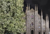 Christmas Tree and Cathedral, Milan