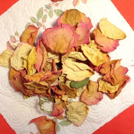 Vasetto di petali di rose - lavoretto festa della mamma