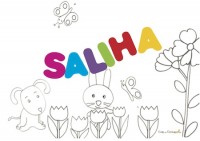 Saliha: significato e origine