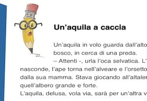 Un Aquila A Caccia Dettato Con L Apostrofo