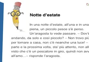 Dettato Terza Elementare Dettati Italiano Scuola Scuola Primaria