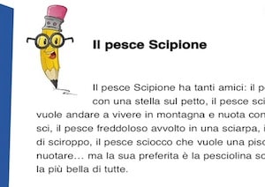 Il Pesce Scipione Sci E Sce Cose Per Crescere