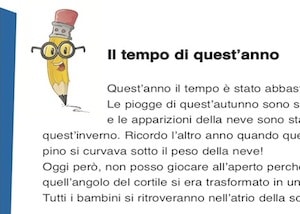 Dettati Con L Apostrofo E Regola Per La Scuola Primaria Da Stampare Gratis