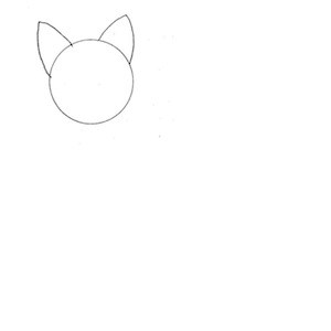 disegnare gatto_02 sm