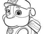 Toppe termoadesive - Paw Patrol Squadra dei Cucciol 'Rubble' - giallo - 11 x 8 cm - 2016 Spin Master PAW Productions Inc. Patch Toppa ricamate Applicazioni Ricamata da cucire adesive
