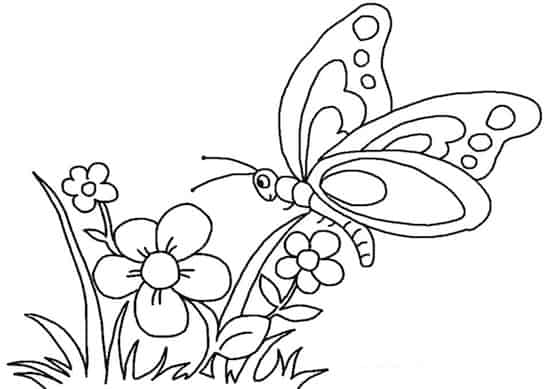 Disegno Di Fiore Con Farfalla Da Stampare Gratis E Da Colorare Per Bambini