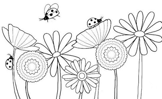 Disegno Di Fiori E Coccinelle Da Stampare E Colorare Per Bambini Piccoli