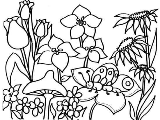 Disegno Di Fiori Fungo E Farfalla Da Stampare Gratis E Da Colorare