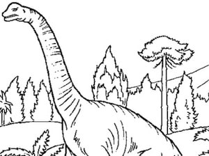 Disegno Di Dinosauro Da Stampare Gratis E Colorare Il Brontosauro