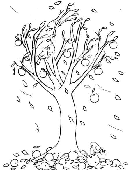 Disegno Di Albero Di Mele In Autunno Da Stampare Per Bambini