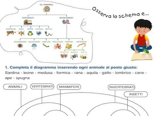 Esercizio Silla Classificazione E Gli Insiemi Scuola Primaria