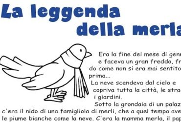 La leggenda della merla