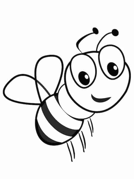 ape disegno