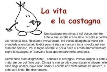 La vita e la castagna