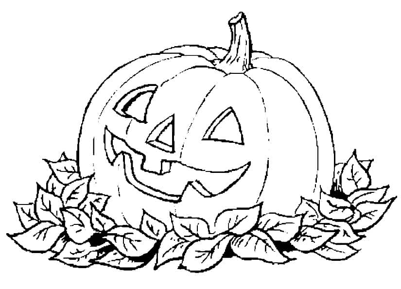 Zucca Halloween disegno