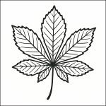 foglia di castagno disegno da colorare