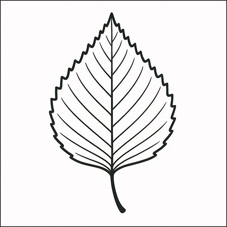Foglia autunno disegno da stampare e colorare per bambini