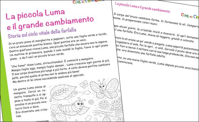 Storia per bambini sul ciclo vitale della farfalla - scuola primaria