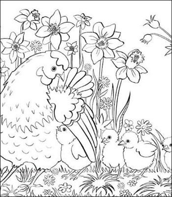 Gallina e pulcini da colorare da colorare
