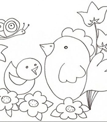 Pulcino e gallina da colorare