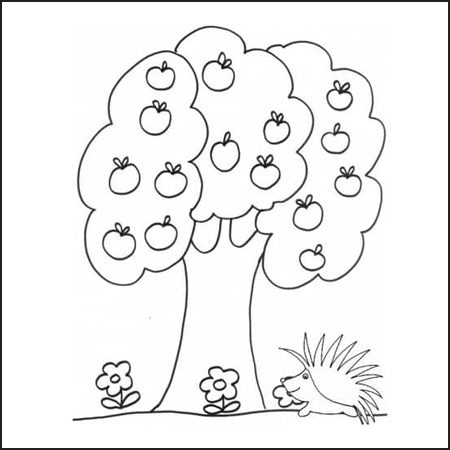 disegno albero da colorare per bambini