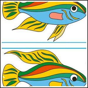 trova differenze pesce colorato da stampare