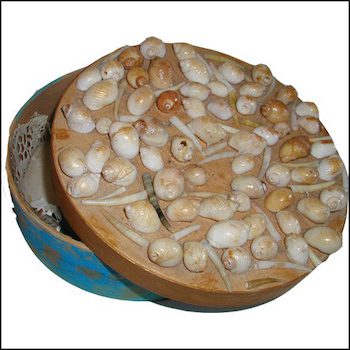 lavoretto con le conchiglie per bambini