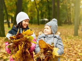 Due bambini raccolgono foglie d'autunno colorate durante un'attività educativa all'aperto in un parco.