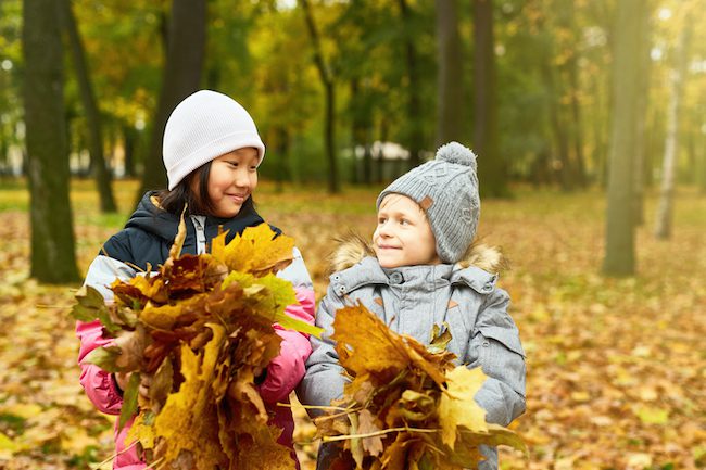 Due bambini raccolgono foglie d'autunno colorate durante un'attività educativa all'aperto in un parco.