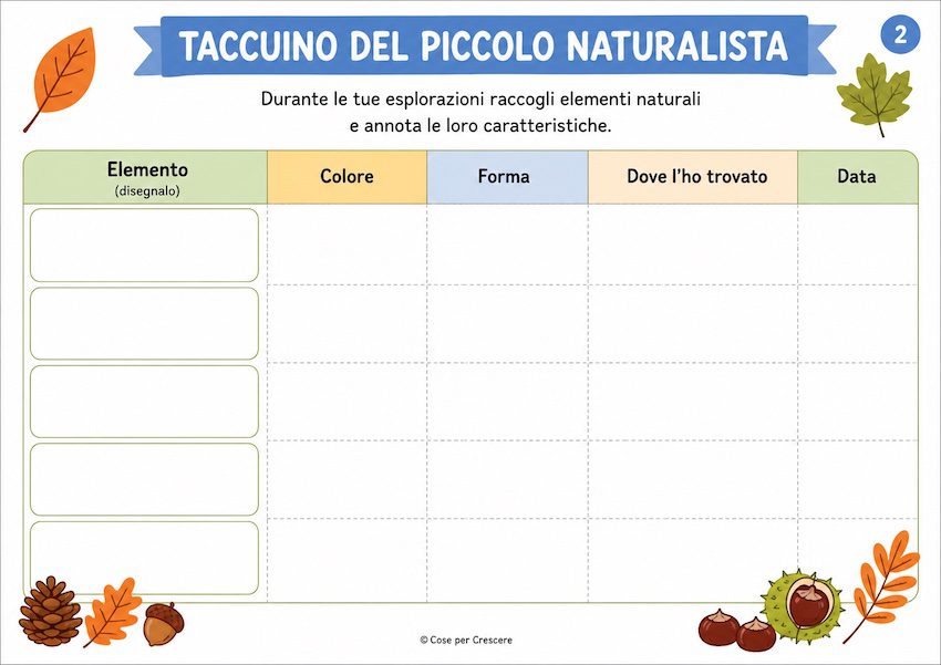 Taccuino del piccolo naturalista da stampare